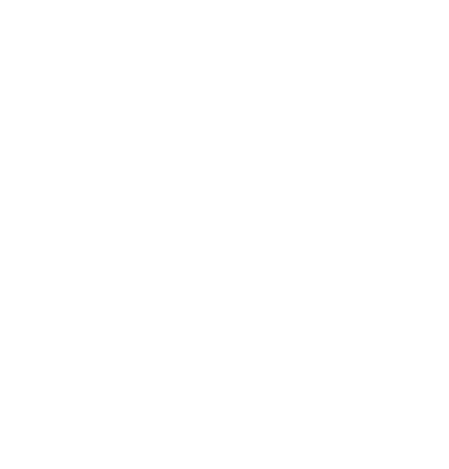 Logo Henet